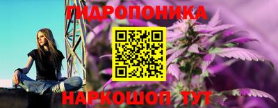 мяу мяу мука Северобайкальск