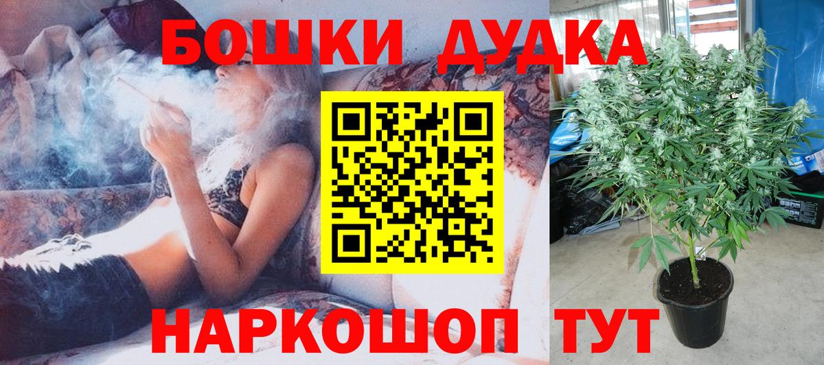 Бошки марихуана OG Kush Аргун